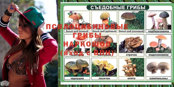 прущая мука Арсеньев