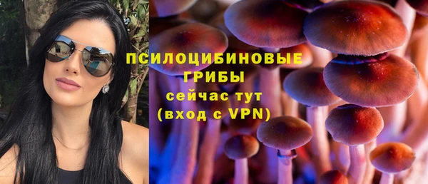 MDMA Елизово