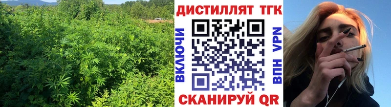 где купить Циолковский ТГК Wax