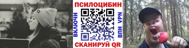 Галлюциногенные грибы Psilocybine cubensis что такое Циолковский